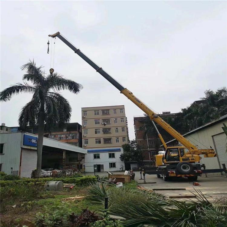 郸城汽车吊出租多少钱？全面解析与市场行情